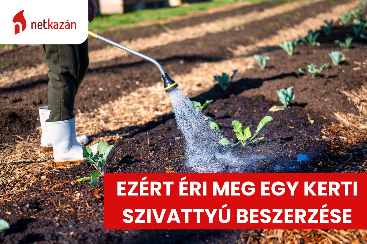 Miért fontos a kerti szivattyú? Ez az egyik legjobb megoldás öntözéshez és vízellátáshoz!